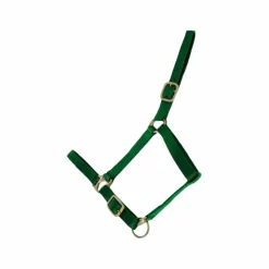 Sale TdeT - Licol synthétique doublé suédine foncé Vert