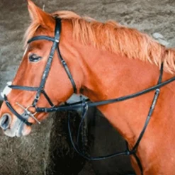 Online TdeT - Martingale e Noir