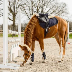 TdeT -  Selle bardette Noir Online