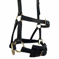 TdeT - Sidepull en cuir No More havane foncé Marron