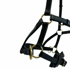 Best TdeT - Sidepull en cuir No More Noir