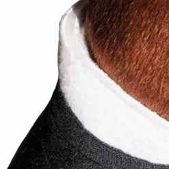 Online TdeT - Sous bandage mousse et tissu blanc postérieurs (x2)