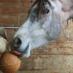 Hot Unika - Complément alimentaire Endurance