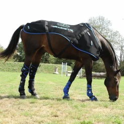 Sale Veredus - Guêtres d'écurie postérieurs Magnetik x2