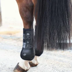 Veredus - Guêtres fermées postérieurs Absolute noir x2 Best