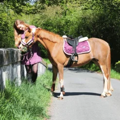 Veredus - Guêtres Ouvertes TR Pro Marron x2 Sale