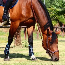 Veredus - Guêtres ouvertes Carbon Gel Vento Color Edition Noir/ Bleu x2 Hot