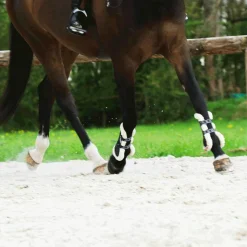 Veredus - Guêtres ouvertes Carbon Gel Vento Save The Sheep Noir x2 Online