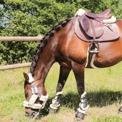 Veredus - Guêtres ouvertes Carbon Gel Vento Save The Sheep Noir x2 Online