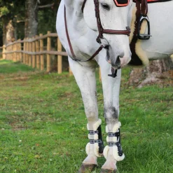 Veredus - Guêtres ouvertes Carbon Gel Vento Save The Sheep Noir x2 Online