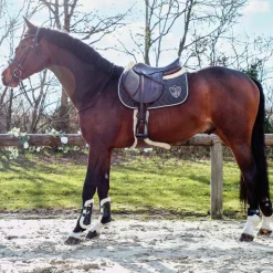 Veredus - Guêtres ouvertes Carbon Gel Vento Save The Sheep Noir x2 Online