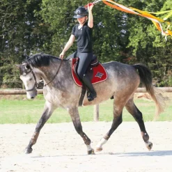 Veredus - Guêtres ouvertes Olympus Vento x2 Marron Sale