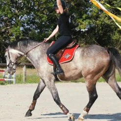 Veredus - Guêtres ouvertes Olympus Vento x2 Marron Sale