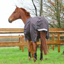 Online Veredus - Guêtres postérieurs TRC Vento High Noir