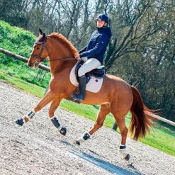 Sale Veredus - Protège-boulets Jeunes Chevaux Vento Save the Sheep Noir