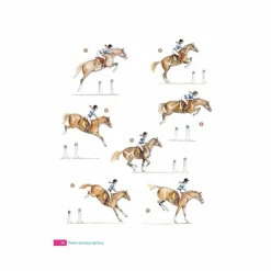 Vigot - Cahier d'exercices réussir ses galops 5 à 7