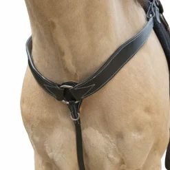 Outlet Westride - Collier de chasse Western surpiqué noir