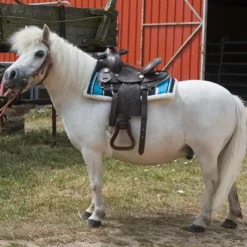 Online Westride - Tapis navajo Matelassé